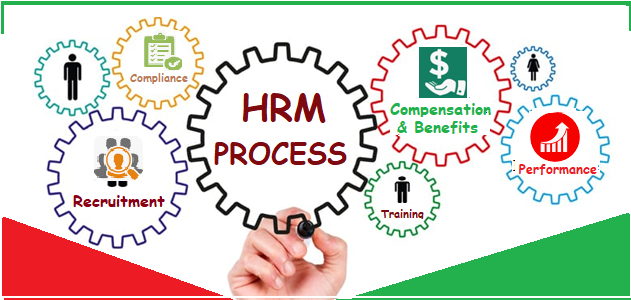 Lever de beste HR-service met Empower-Nmbrs